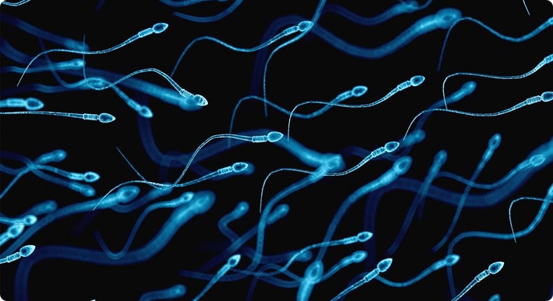 Спермограмма. 6 фактов о сперме